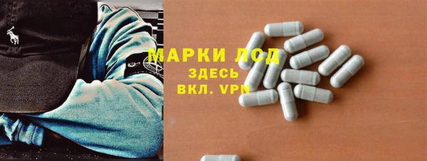 эйфоретик Аркадак