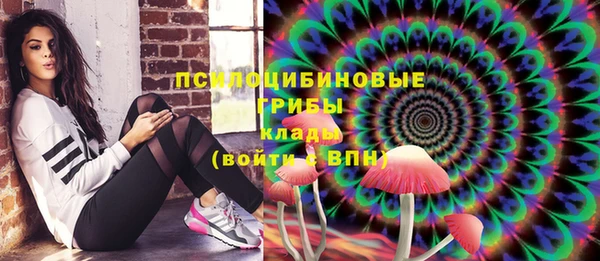 2c-b Алзамай